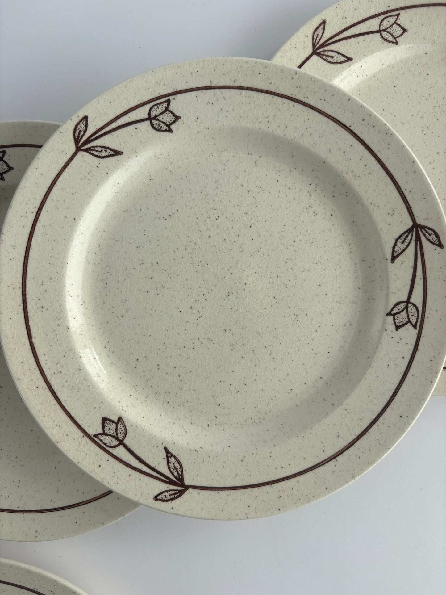 Set of 4 retro plates