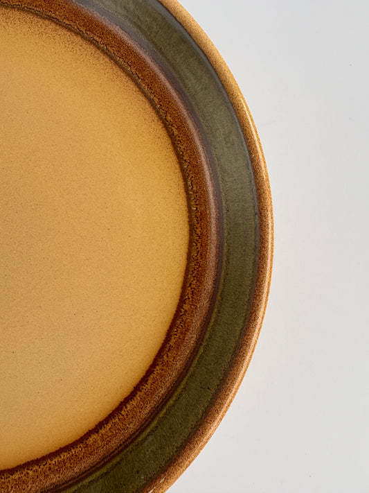 Set of 10 dinner plates