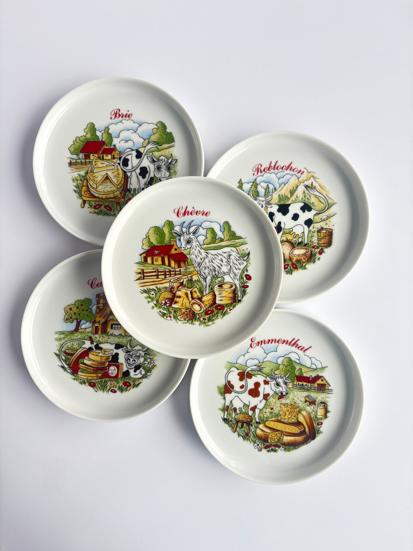 Set of 5 cheese plates and 1 large plate