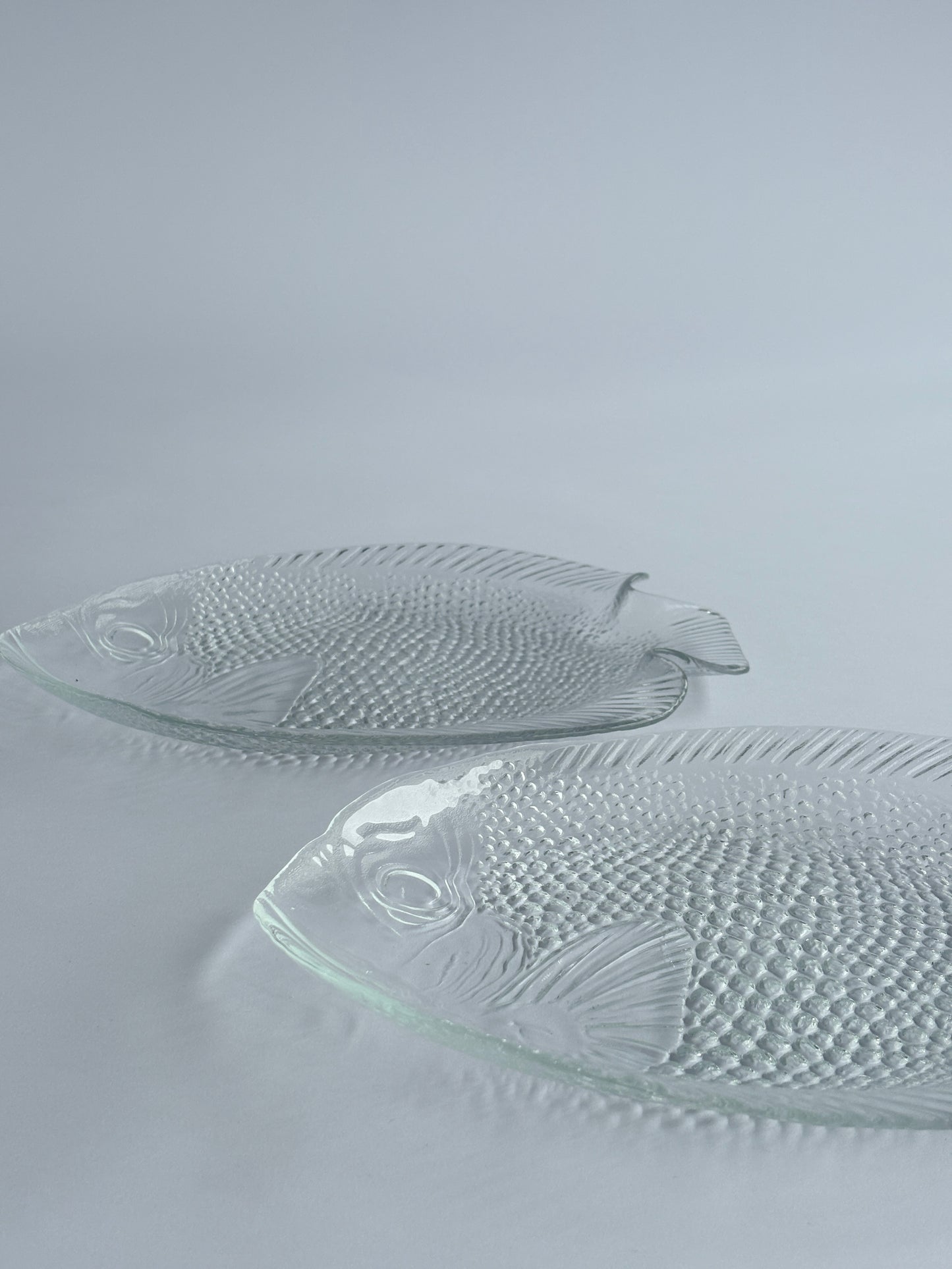 Set of 2 poisson plates