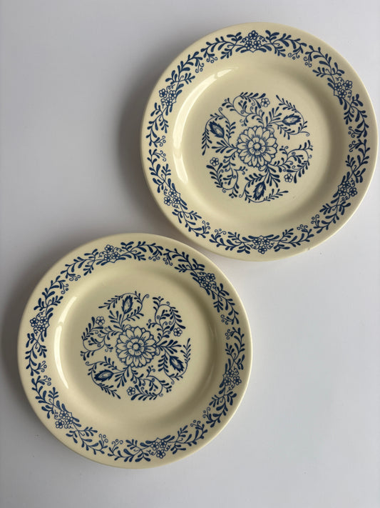 Set of 2 white & blue floral plates