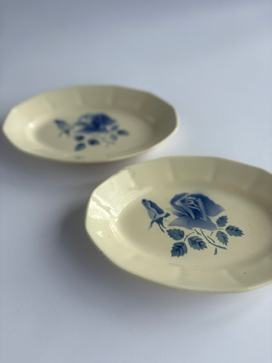 Set of 2 “Blue Rose” raviers