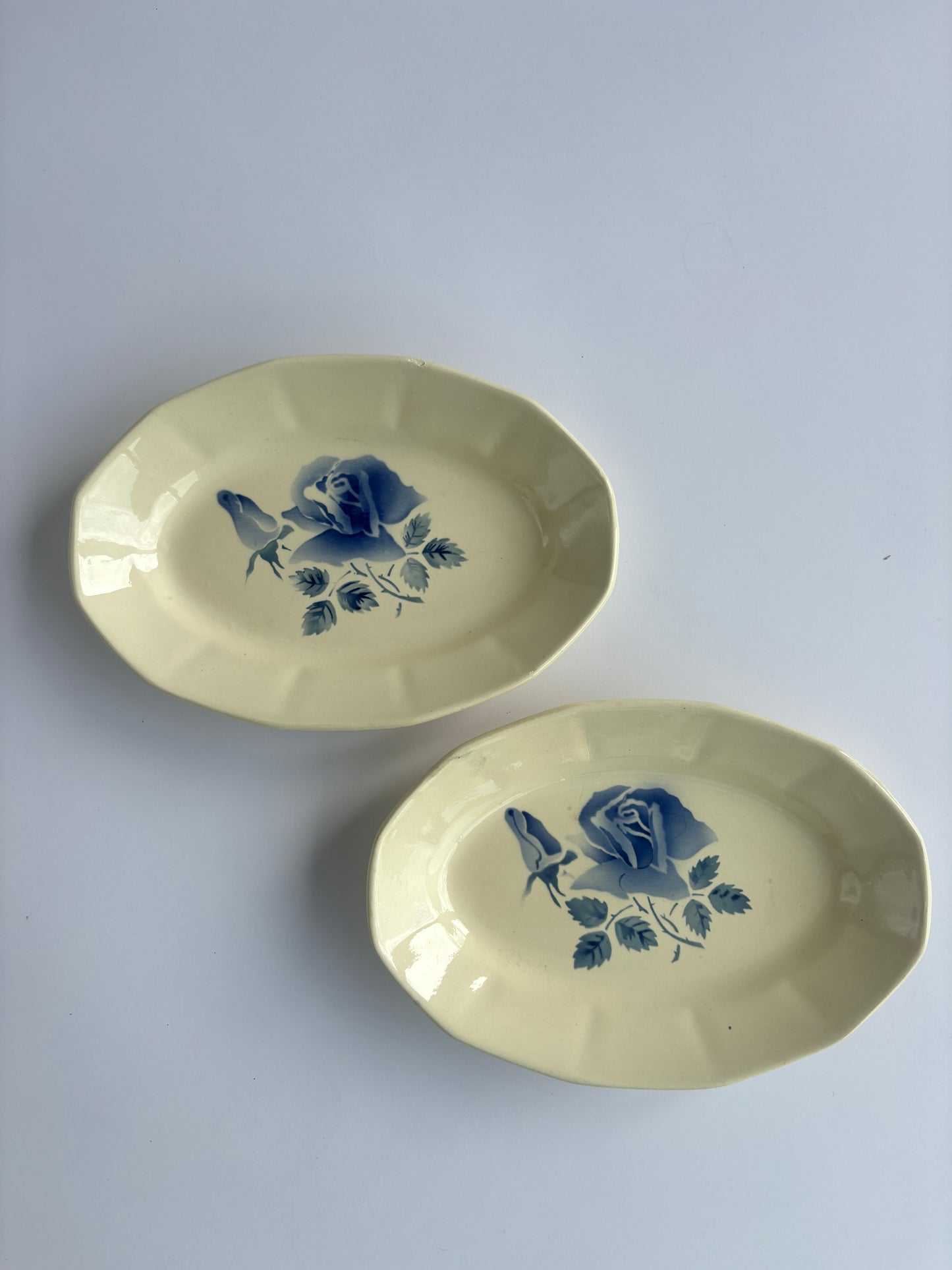 Set of 2 “Blue Rose” raviers