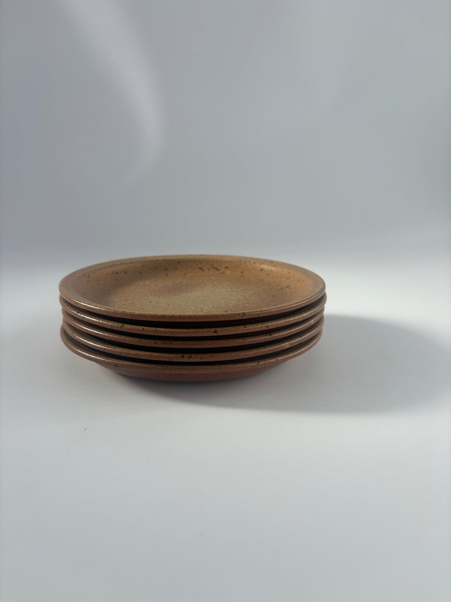 Set of 5 earthy stoneware plates