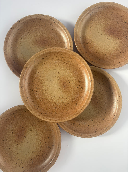 Set of 5 earthy stoneware plates