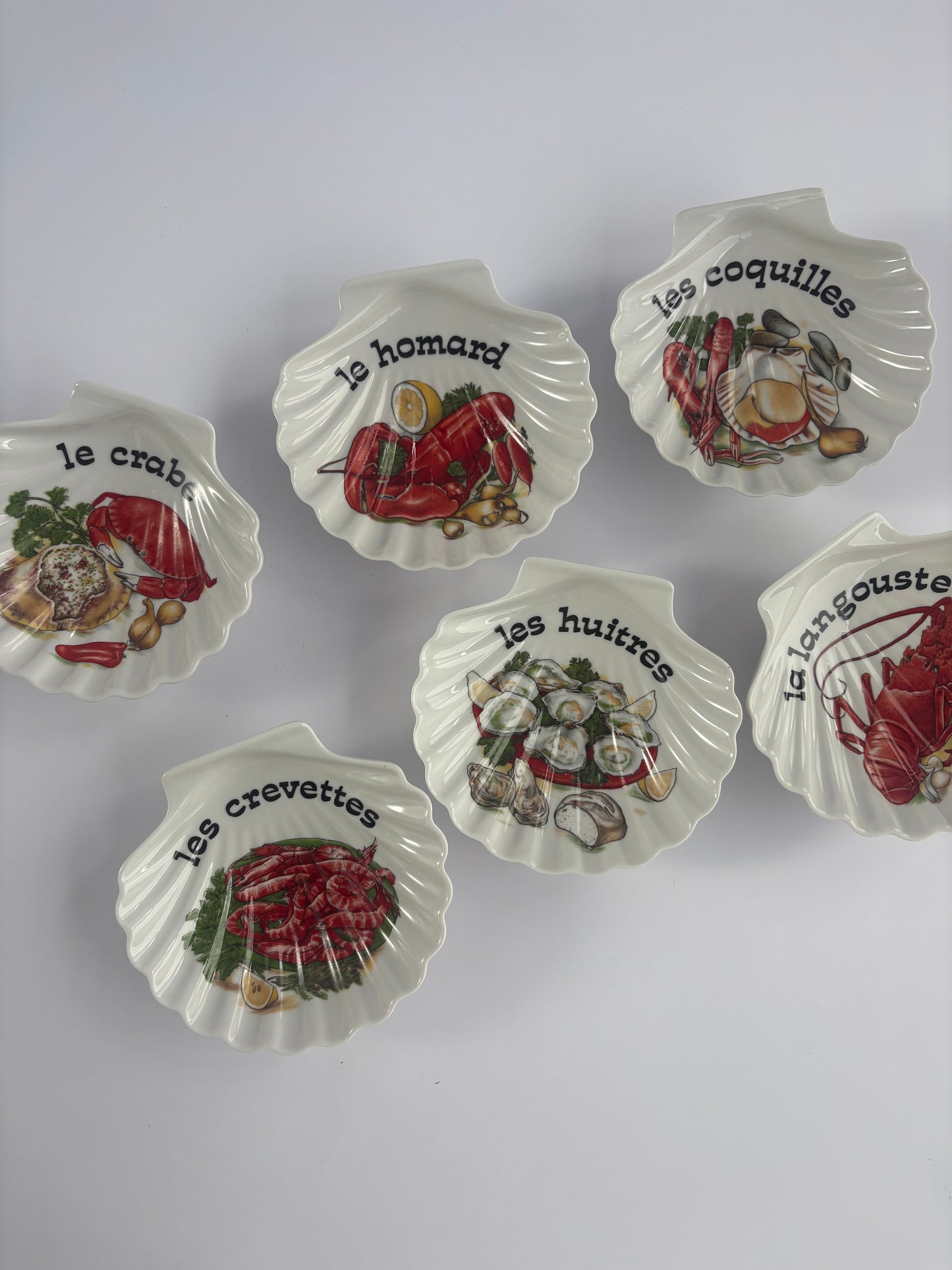 Set of 6 scallop shell bowls