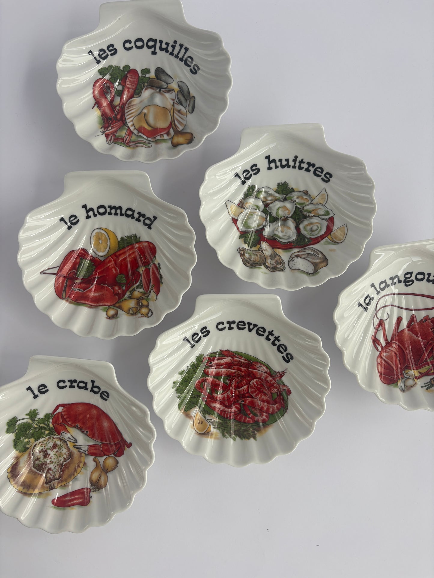 Set of 6 scallop shell bowls