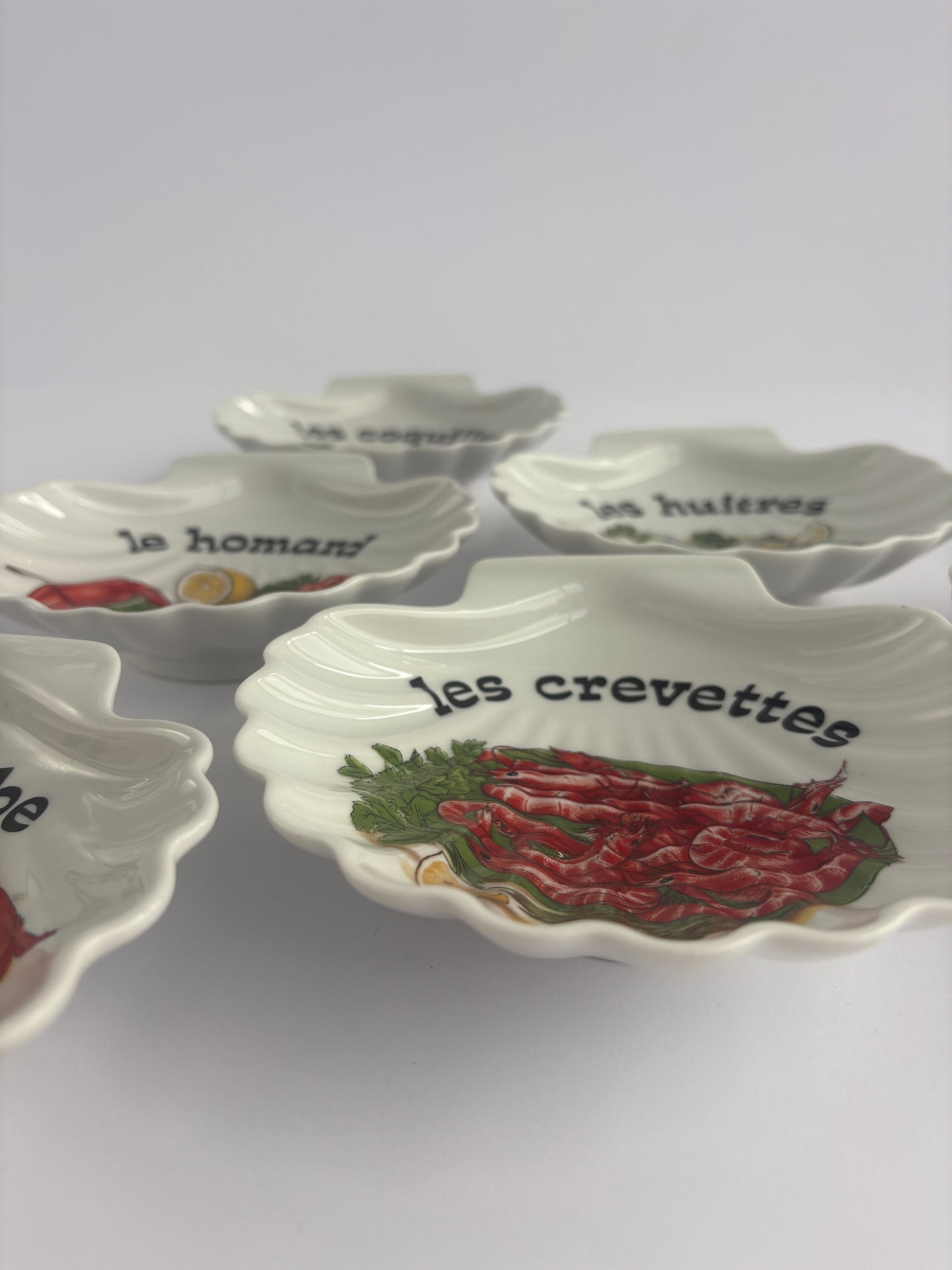 Set of 6 scallop shell bowls