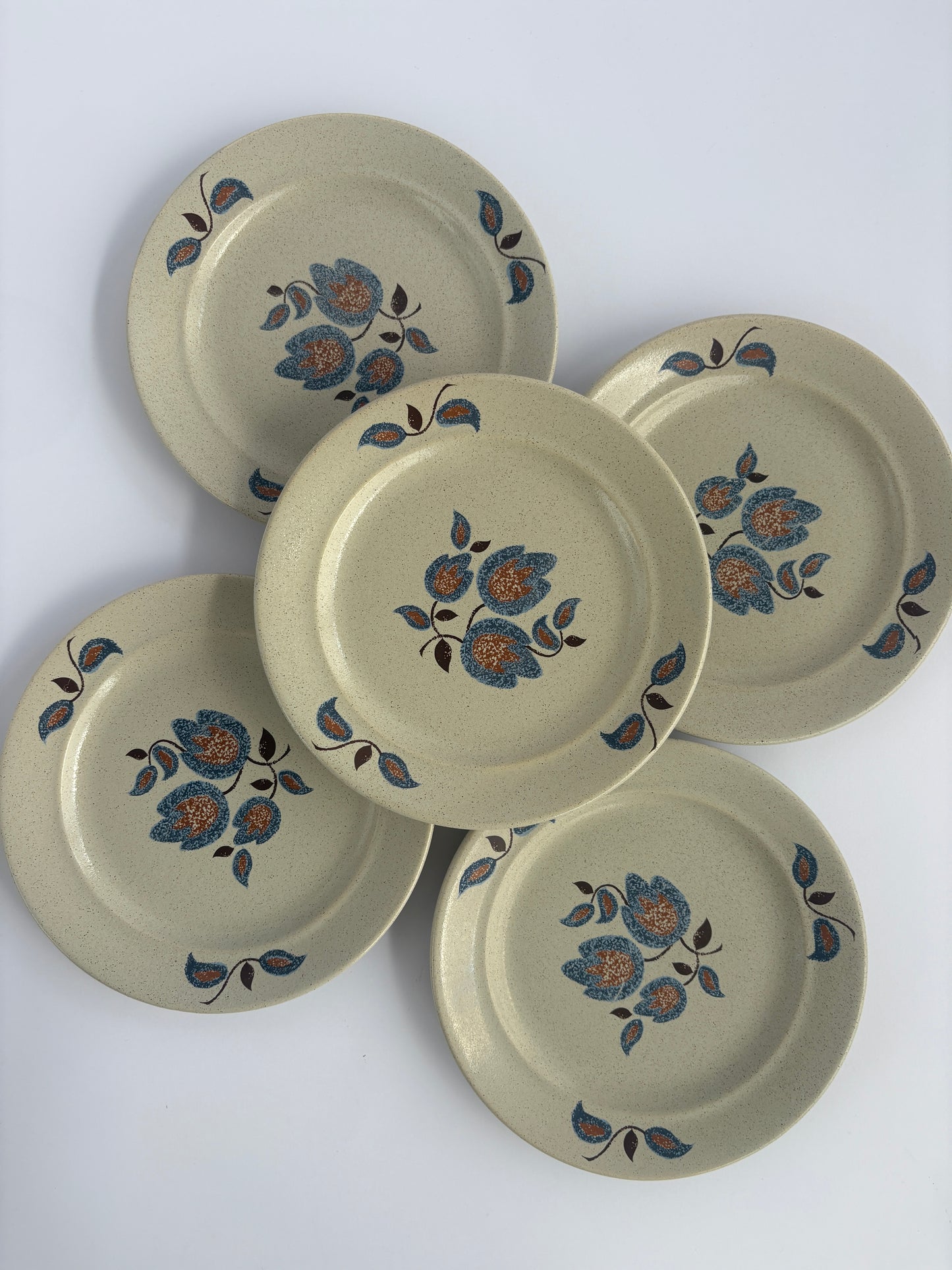 Set of 5 retro plates