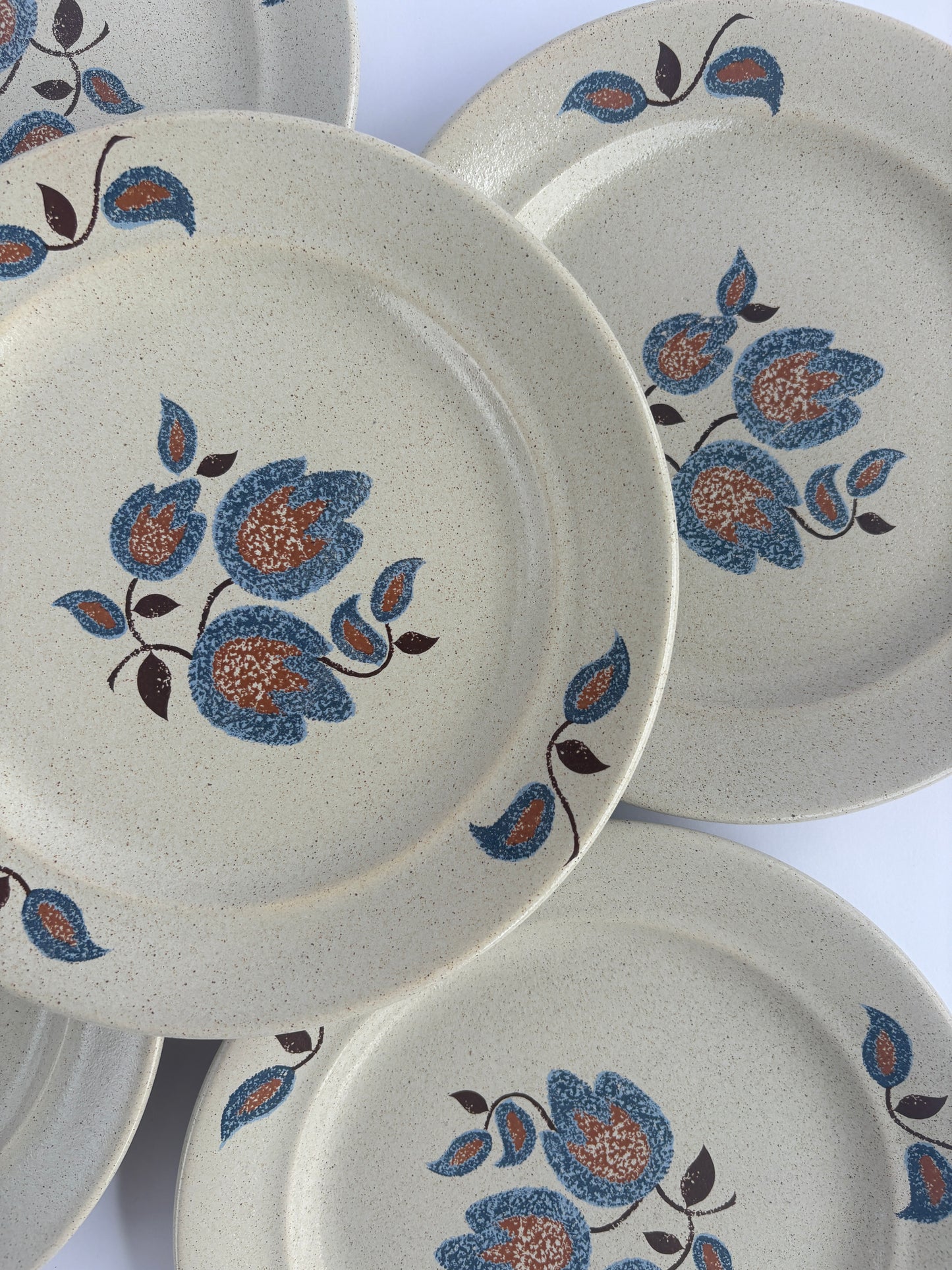 Set of 5 retro plates