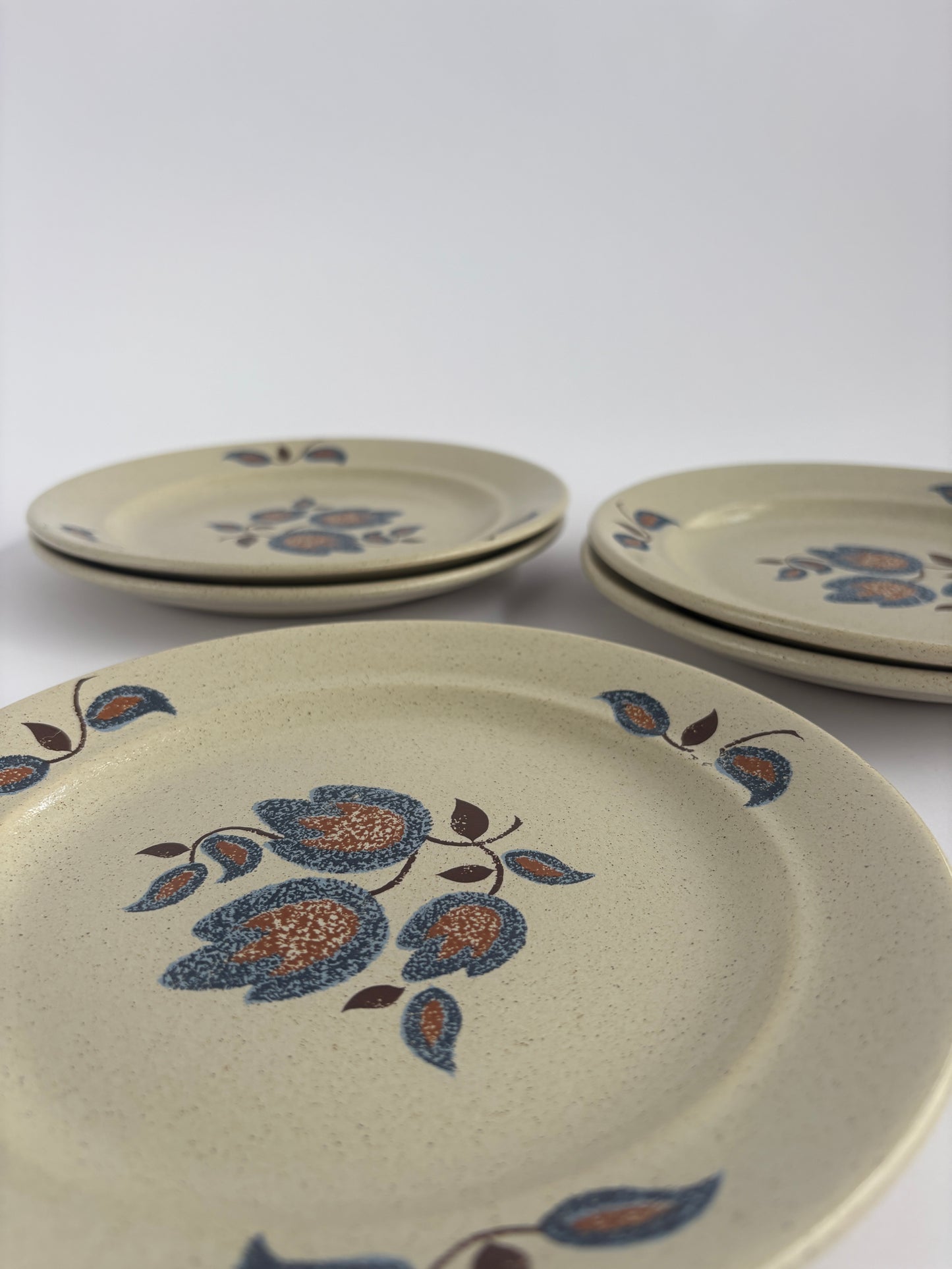Set of 5 retro plates