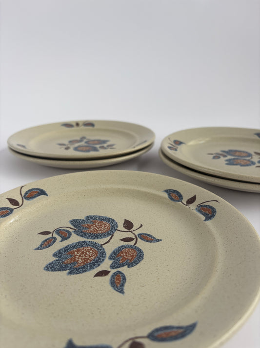 Set of 5 retro plates