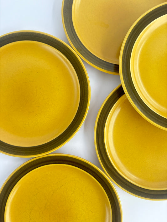 Set of 6 mustard yellow plates