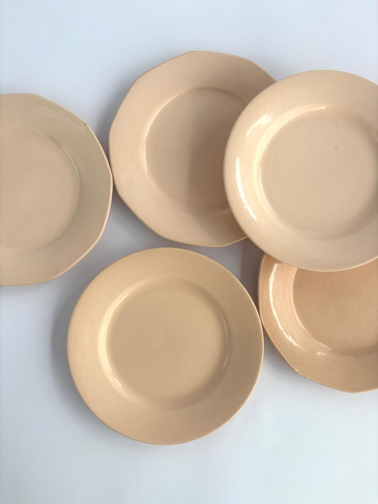 Set of 5 salmon pink plates
