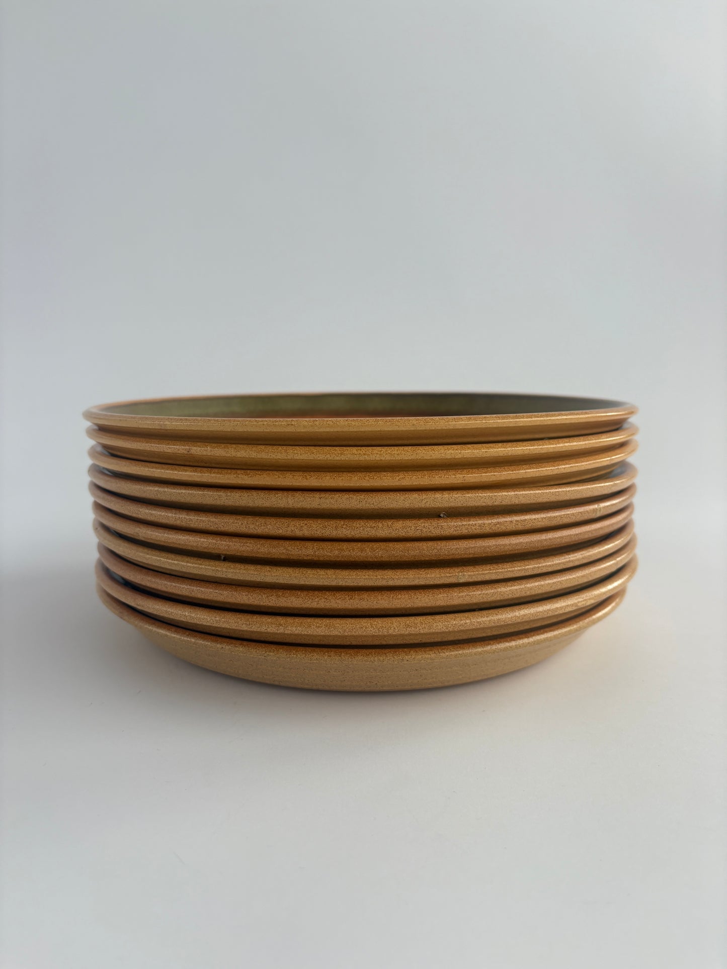 Set of 10 dinner plates