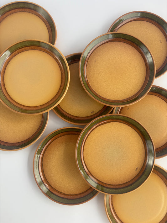 Set of 10 dinner plates